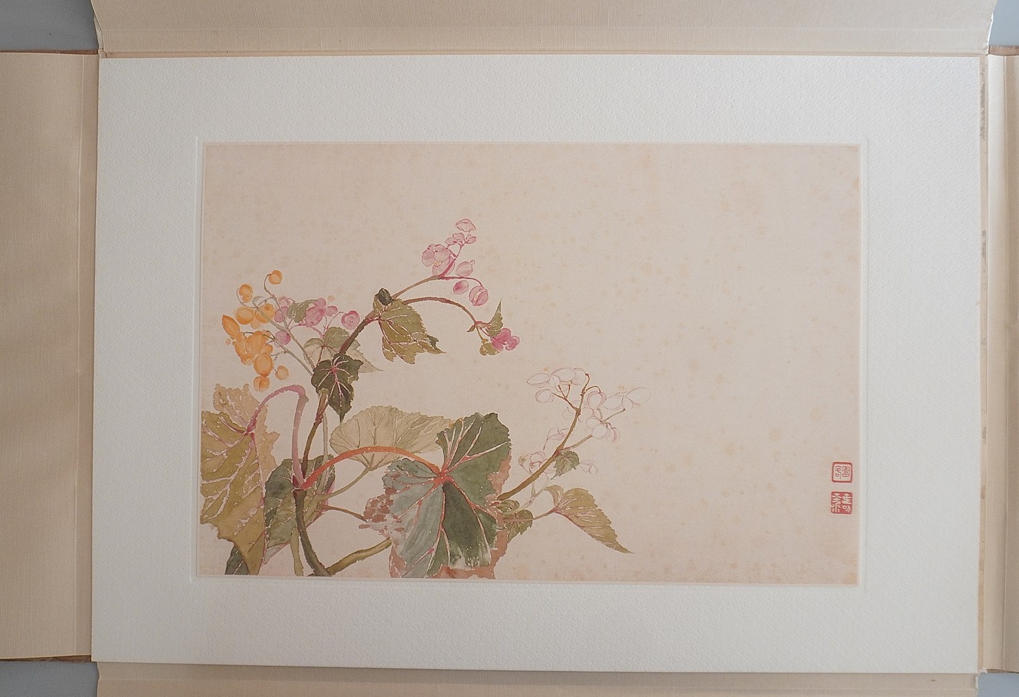 清 惲寿平､王翬｢花卉山水合冊｣買取(愛知県一宮市) - 学術書・専門書買取