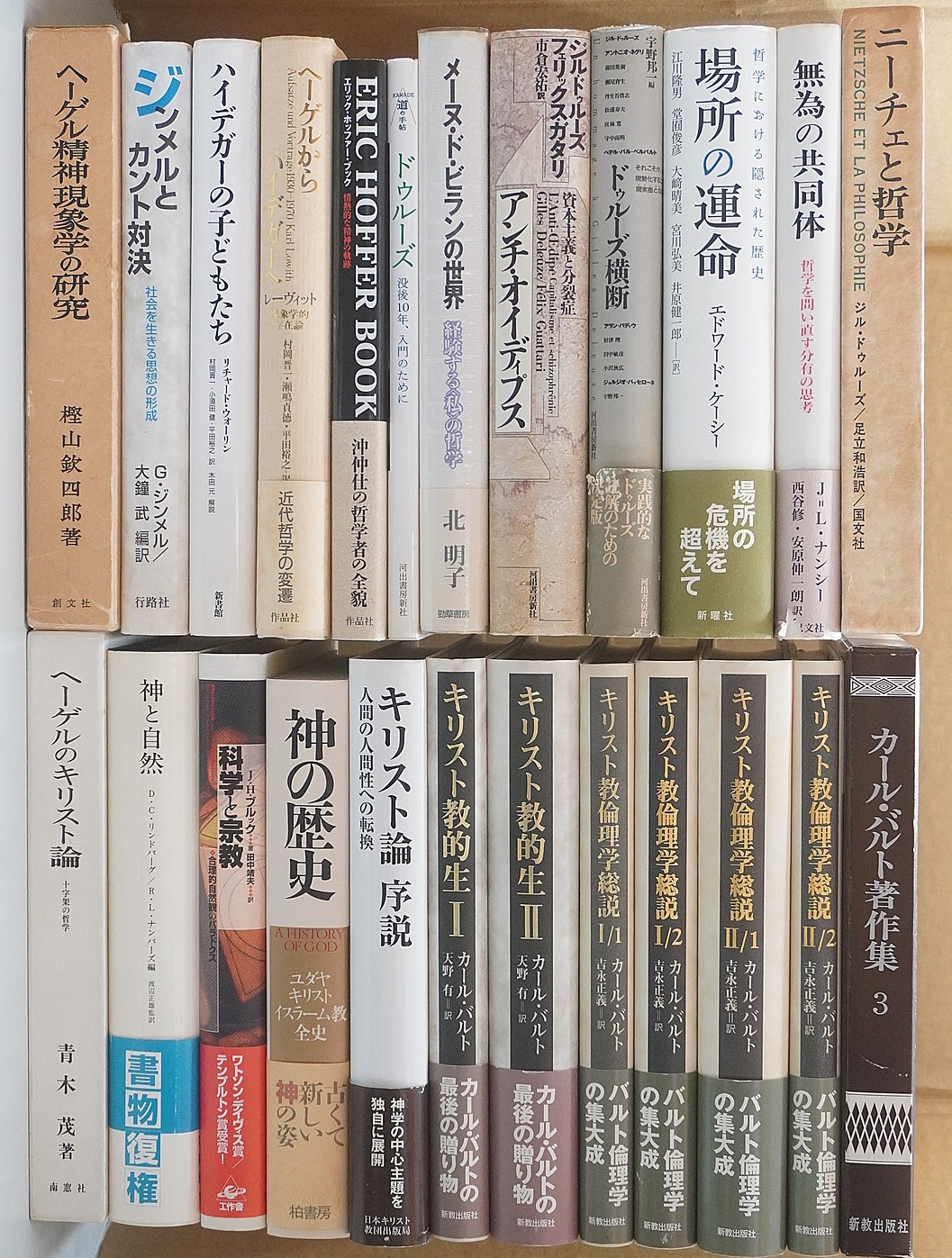 ハイデガーの子どもたち他