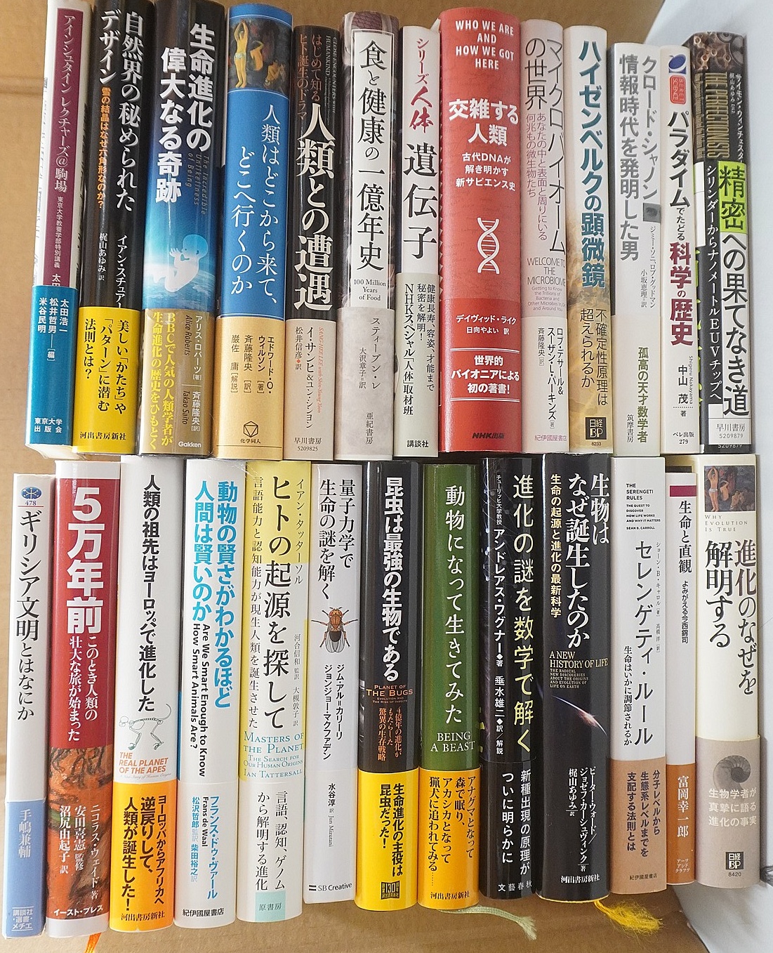 河出書房新社「昆虫は最強の生物である」スコット・リチャード・ショー（著） 他